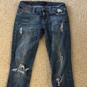 Vigoss Studio Distressed Jeans